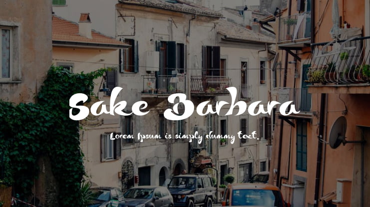 Sake Barbara Font