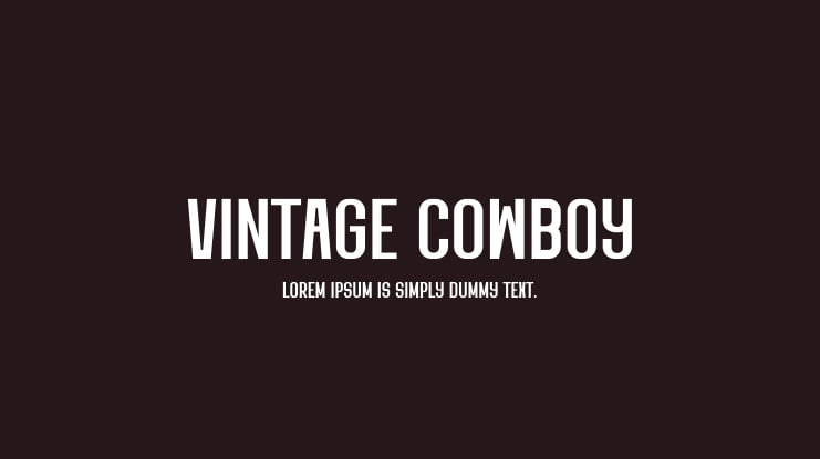 Vintage Cowboy Font