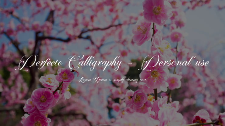 Perfecto Calligraphy - Personal use Font