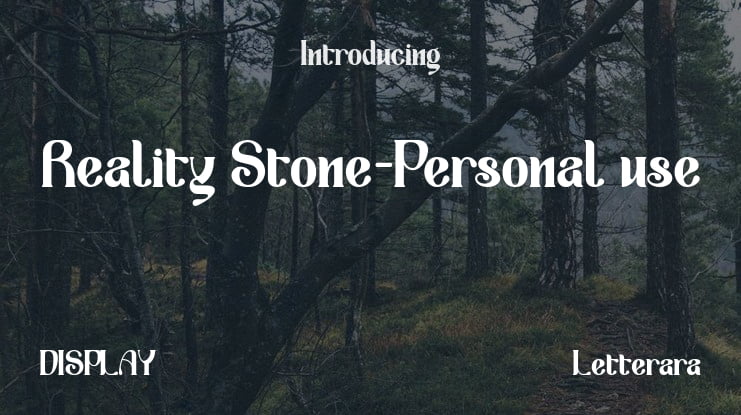 Reality Stone-Personal use Font