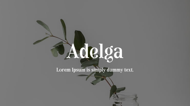 Adelga Font