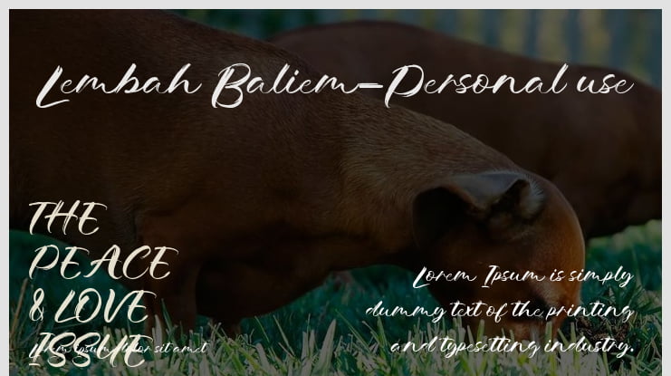 Lembah Baliem-Personal use Font