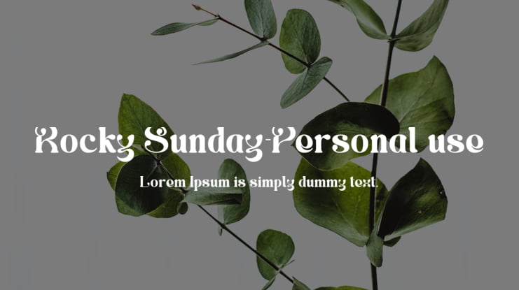 Rocky Sunday-Personal use Font