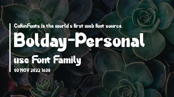 Bolday-Personal use Font