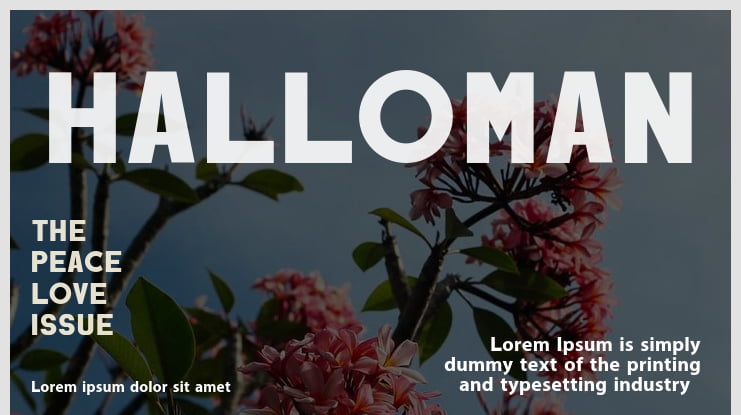 HALLOMAN Font