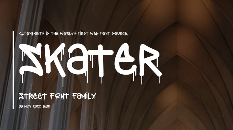 Skater Street Font Family