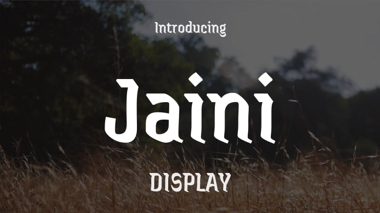 Jaini Font Family