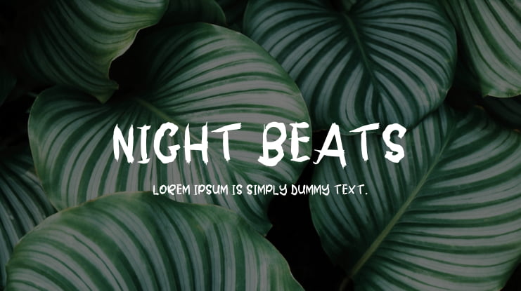 Night Beats Font