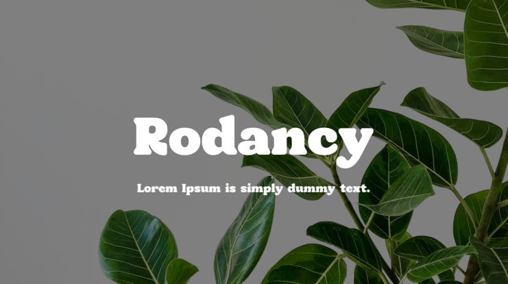 Rodancy Font