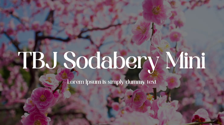 TBJ Sodabery Mini Font Family