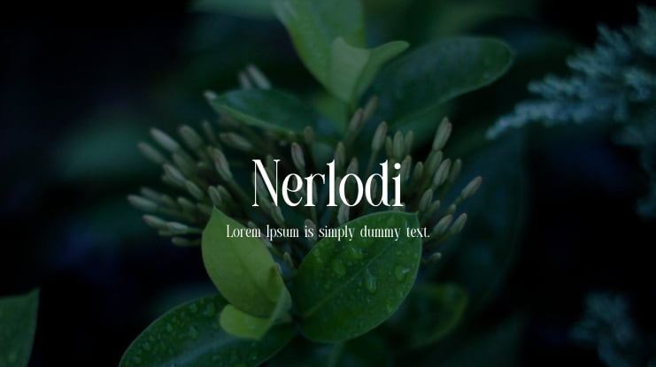 Nerlodi Font