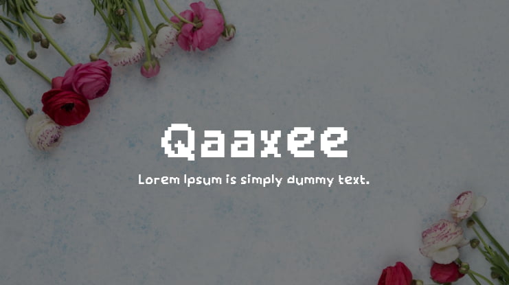 Qaaxee Font