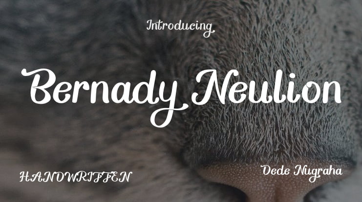 Bernady Neulion Font