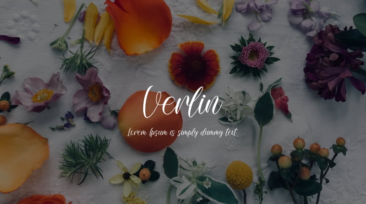 Verlin Font