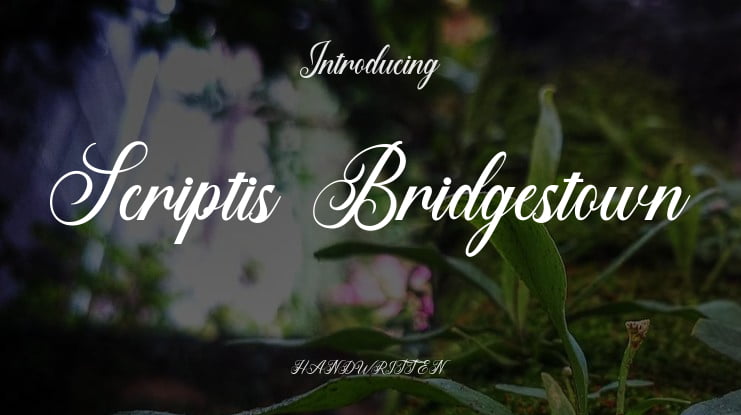 Scriptis Bridgestown Font