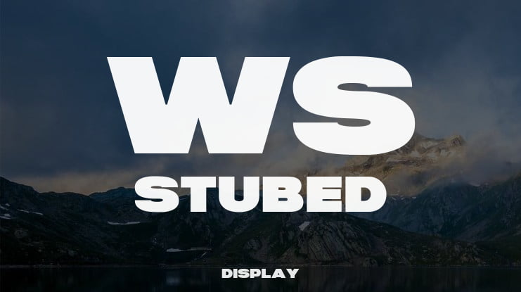 WS Stubed Font