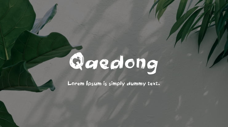 Qaedong Font