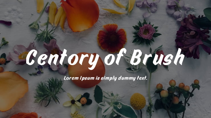 Centory of Brush Font