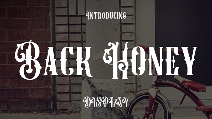 Back Honey Font