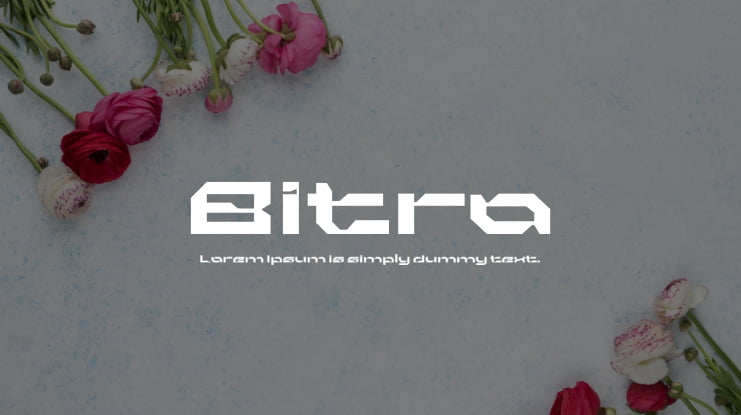 Bitro Font