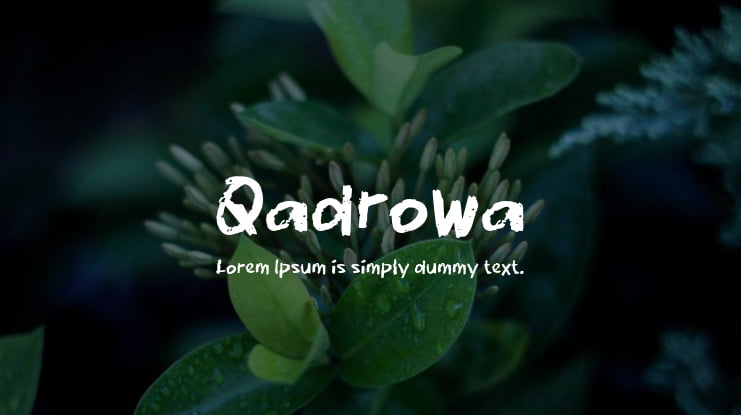 Qadrowa Font