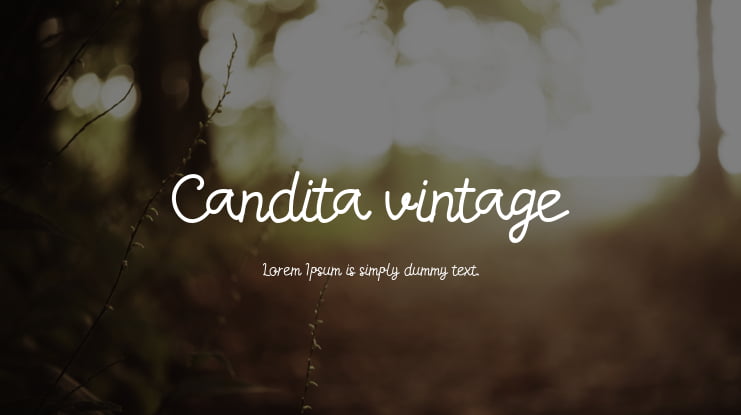 Candita vintage Font