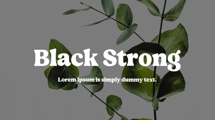 Black Strong Font