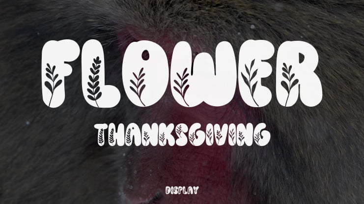 Flower Thanksgiving Font