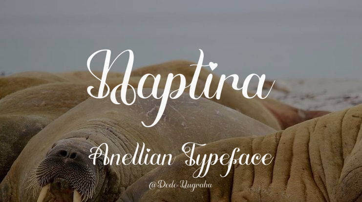 Naptira Anellian Font