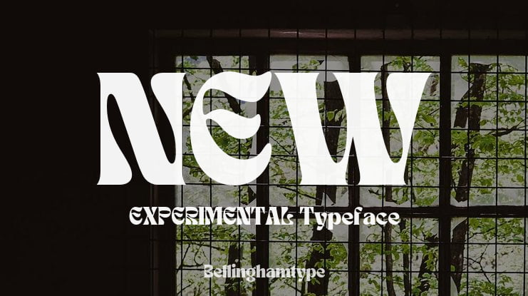 NEW EXPERIMENTAL Font