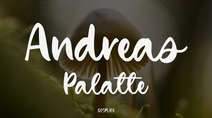 Andreas Palatte Font