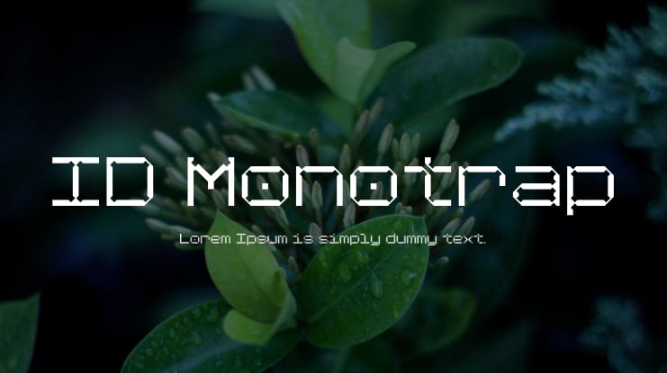 ID Monotrap Font