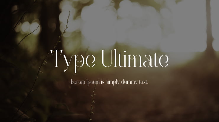 Type Ultimate Font