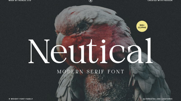 Neutical Font