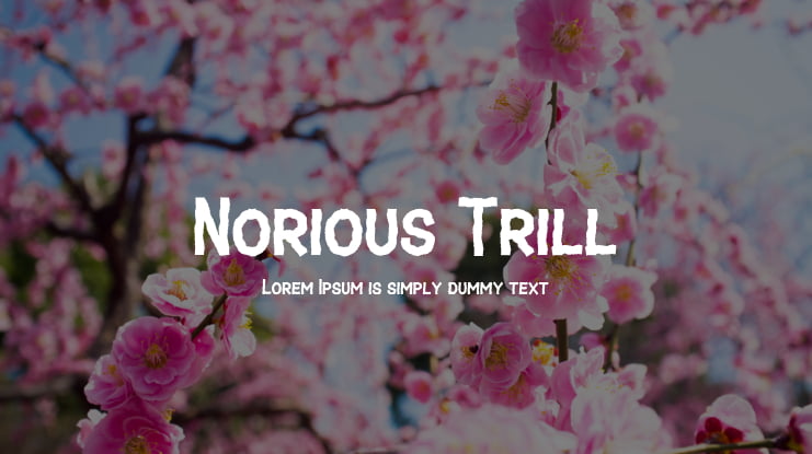 Norious Trill Font