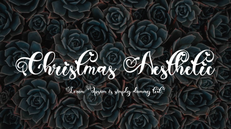 Christmas Aesthetic Font