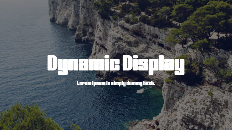 Dynamic Display Font Family