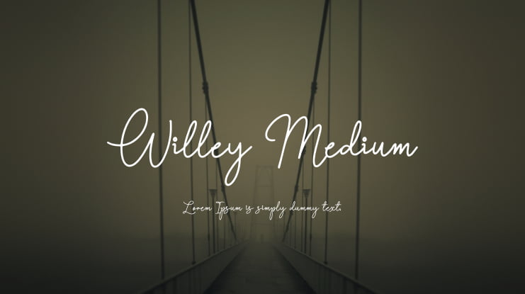 Willey Medium Font