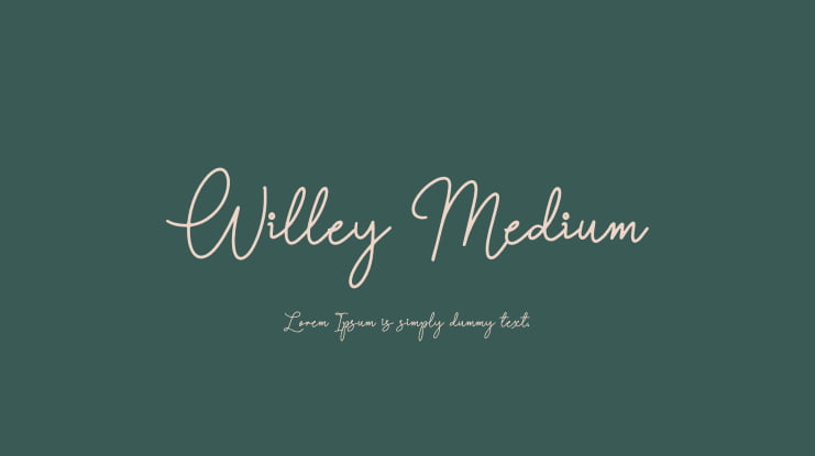 Willey Medium Font