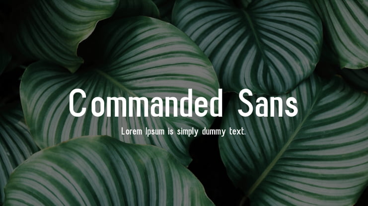 Commanded Sans Font Family