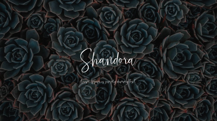 Shandora Font