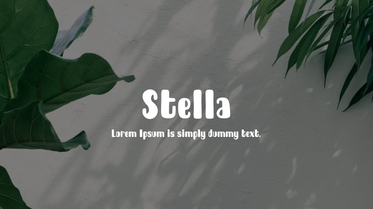 Stella Font