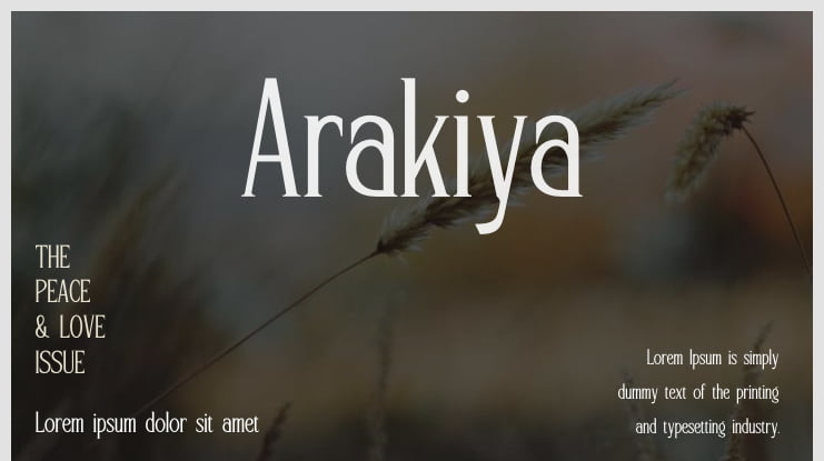 Arakiya Font