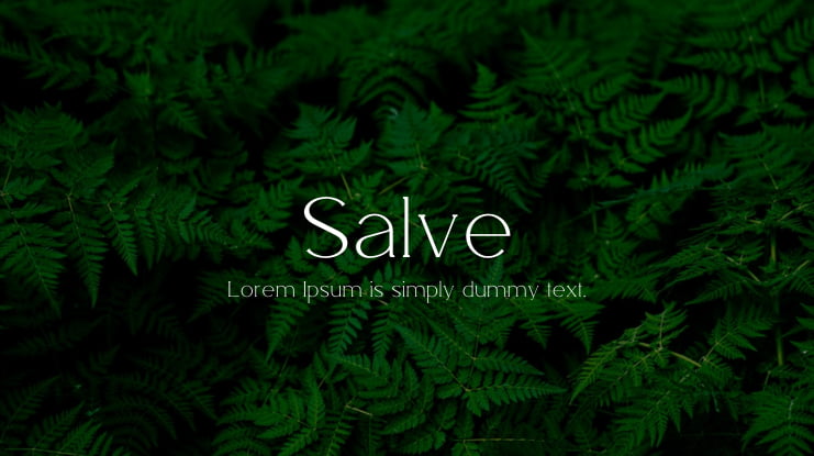 Salve Font