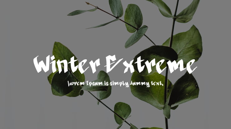 Winter Extreme Font