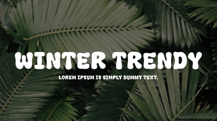 Winter Trendy Font