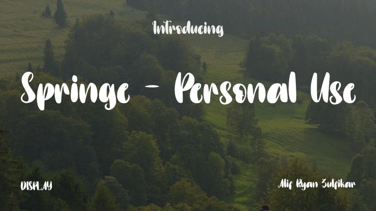 Springe - Personal Use Font