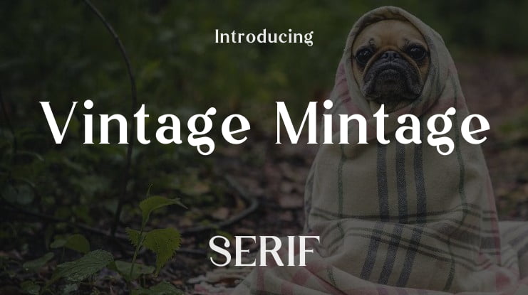 Vintage Mintage Font