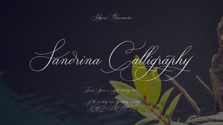 Sandrina Calligraphy Font