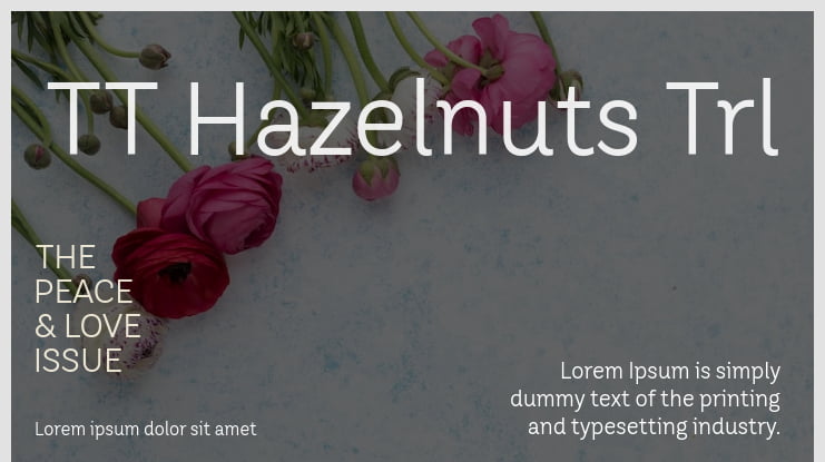 TT Hazelnuts Trl Font Family